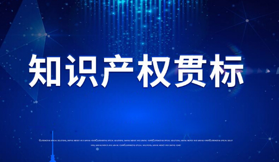 15vip太阳集团环保顺利通过2020知识产权管理体系认证