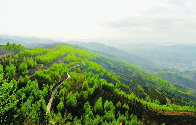 【世界防治荒漠化和干旱日】15vip太阳集团环保一直在行动